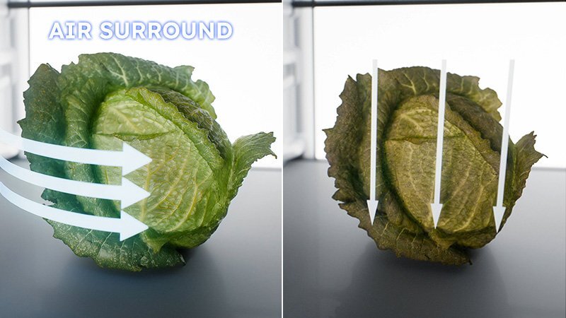 Air Surround - Fresher gehts nicht