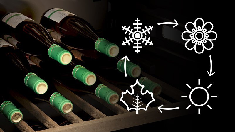 Vier-Jahreszeiten-Funktion: immer die perfekte Temperatur